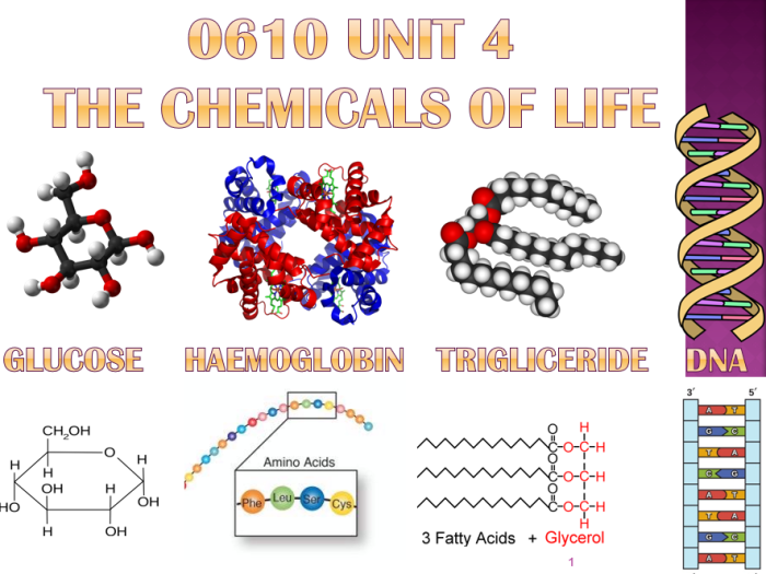 Hhmi biomolecules on the menu