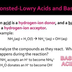 Bronsted lowry acids and bases worksheet