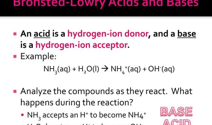 Bronsted lowry acids and bases worksheet