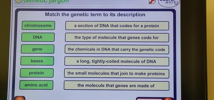 Match the term to its correct description