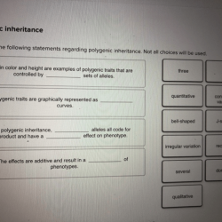 Statistics of inheritance pogil key