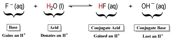 Bronsted lowry acids and bases worksheet