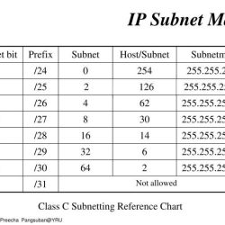 Determine transcribed text