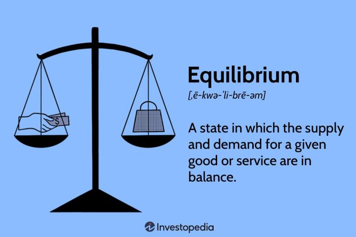 What was the equilibrium price in the market for sunglasses